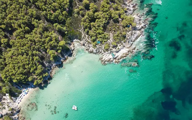 Aerial view of turquoise water and pine-covered coast at Kavourotrypes Beach, Sithonia