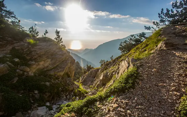 Rocky path and pine trees on Mount Olympus with sunlit views toward the sea